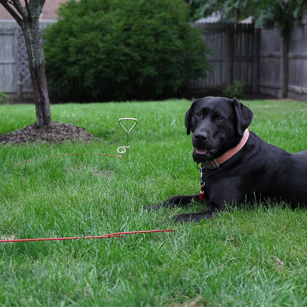 Dog Tie Out Cable 30 Feet - Heavy Duty Dog Lead up to 125 Pounds - Reflective & Rust-Free with Quick Release Swivel Clips & 360° Rotating Clasp - Tangle-Free Dogs Runner for Yard (Red, Single)